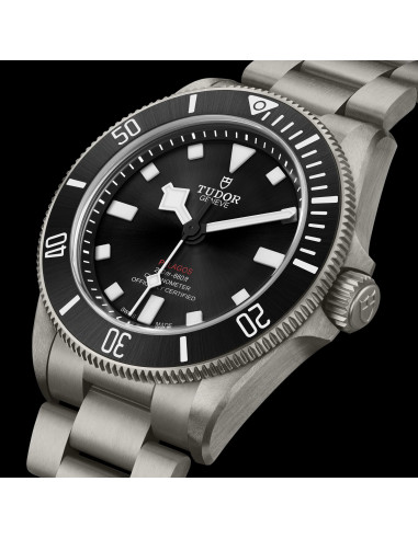 Tudor Titanio Pelagos 39