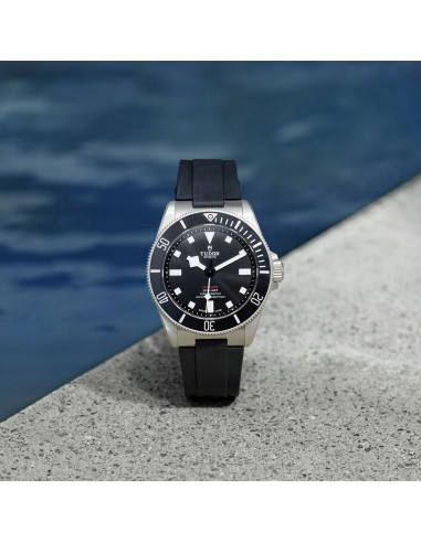 Tudor Titanio Pelagos 39