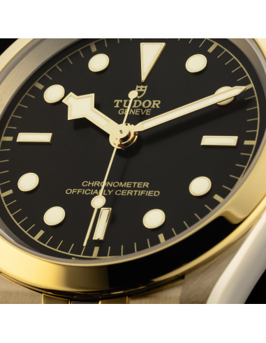 Tudor Black Bay 41 S&G