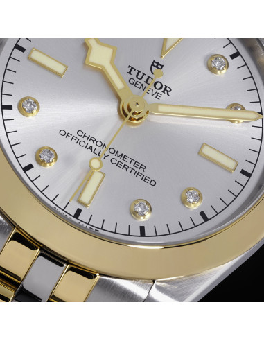 Tudor Black Bay 41 S&G