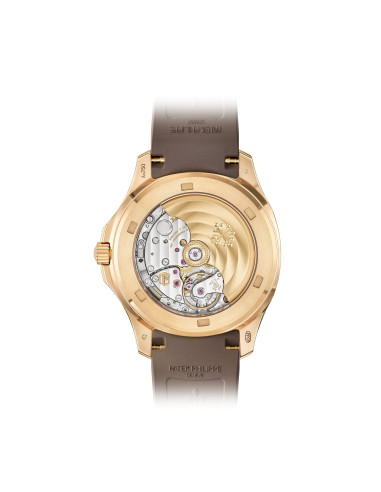 Aquanaut Luce