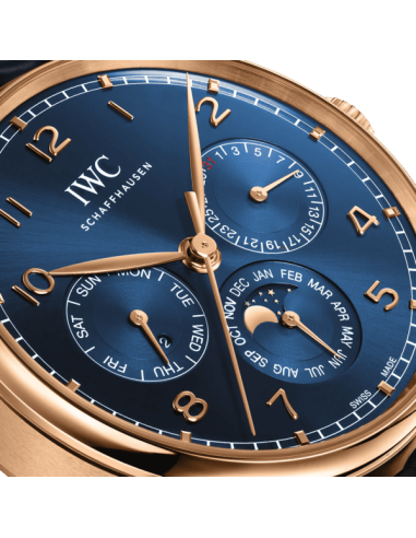 Portugieser Perpetual Calendar 42