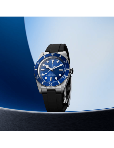 Black Bay 54