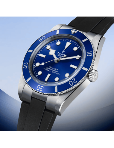 Black Bay 54